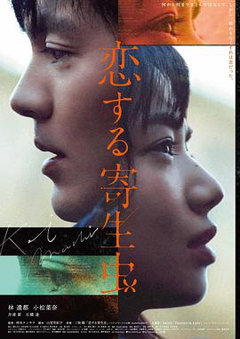 东邪西毒梁朝伟盲武士武侠电影